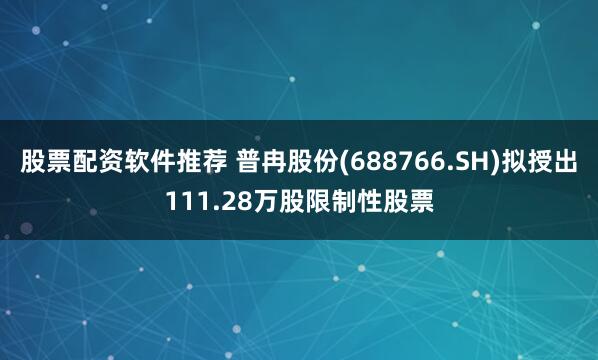 股票配资软件推荐 普冉股份(688766.SH)拟授出111.28万股限制性股票