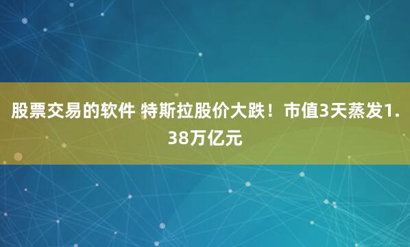 股票交易的软件 特斯拉股价大跌！市值3天蒸发1.38万亿元