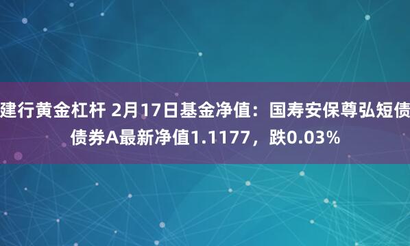 建行黄金杠杆 2月17日基金净值：国寿安保尊弘短债债券A最新净值1.1177，跌0.03%