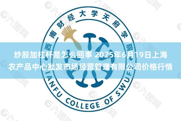 炒股加杠杆是怎么回事 2025年6月19日上海农产品中心批发市场经营管理有限公司价格行情