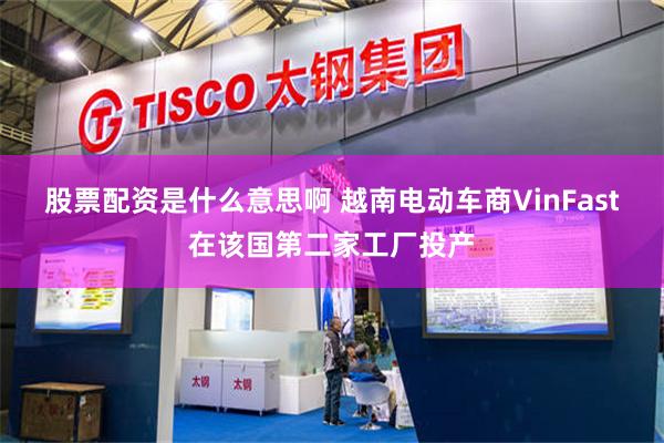 股票配资是什么意思啊 越南电动车商VinFast在该国第二家工厂投产